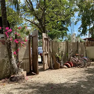 https://bungalows-casa-arte-y-selva-free-bikes-kayyaks.quintano-roohotels.com